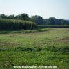 Bezirkswettbewerb 2010